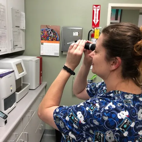 Female staff nurse is peeking through a medical device in the lab room